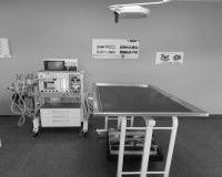 Chirurgie, Gasanesthesie met Monitoring