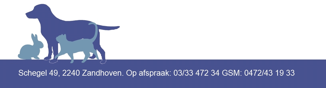 logo-1