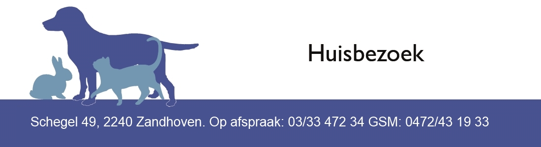 logo-2
