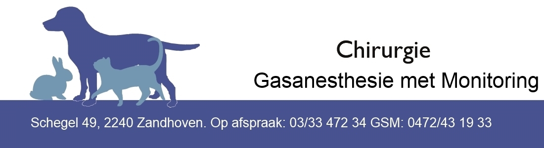 logo-3