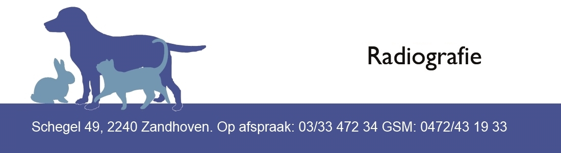 logo-6