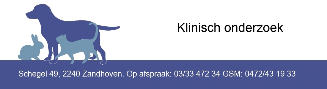 logo-9